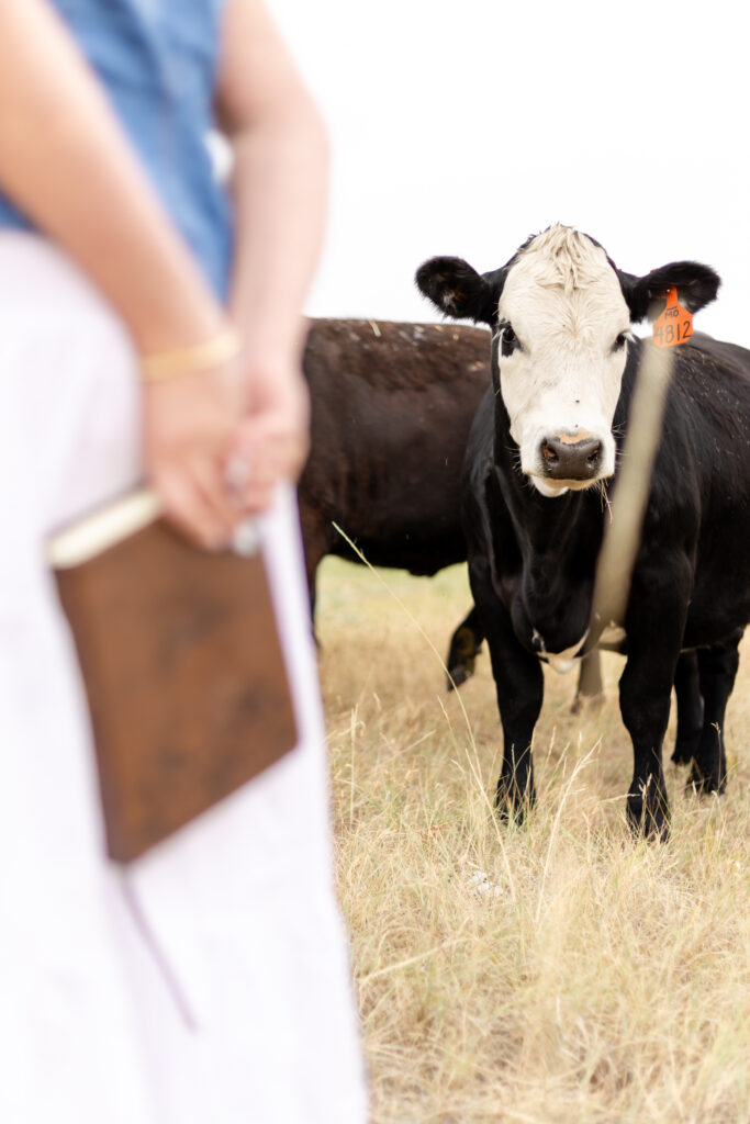 Montana Ranch Senior Session